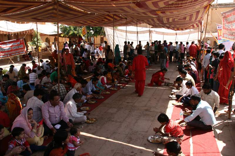 India & Nepal 2011 - 1446